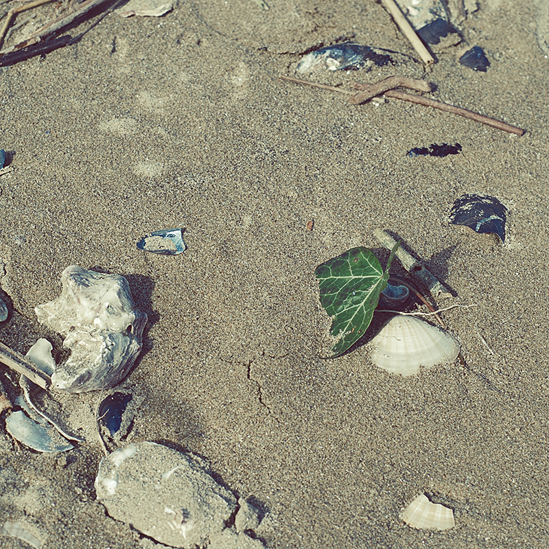 Ed(era) rimasta sconfitta