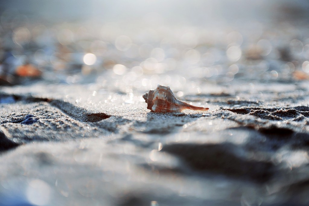 Dove ogni cosa è al proprio&nbsp;posto