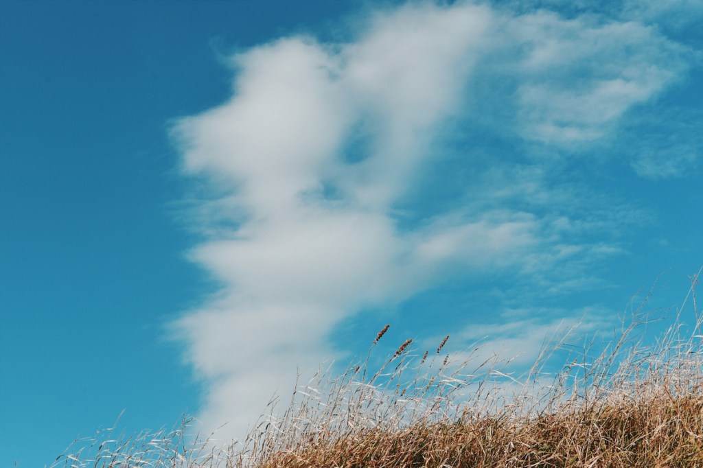 Il soffio del&nbsp;vento