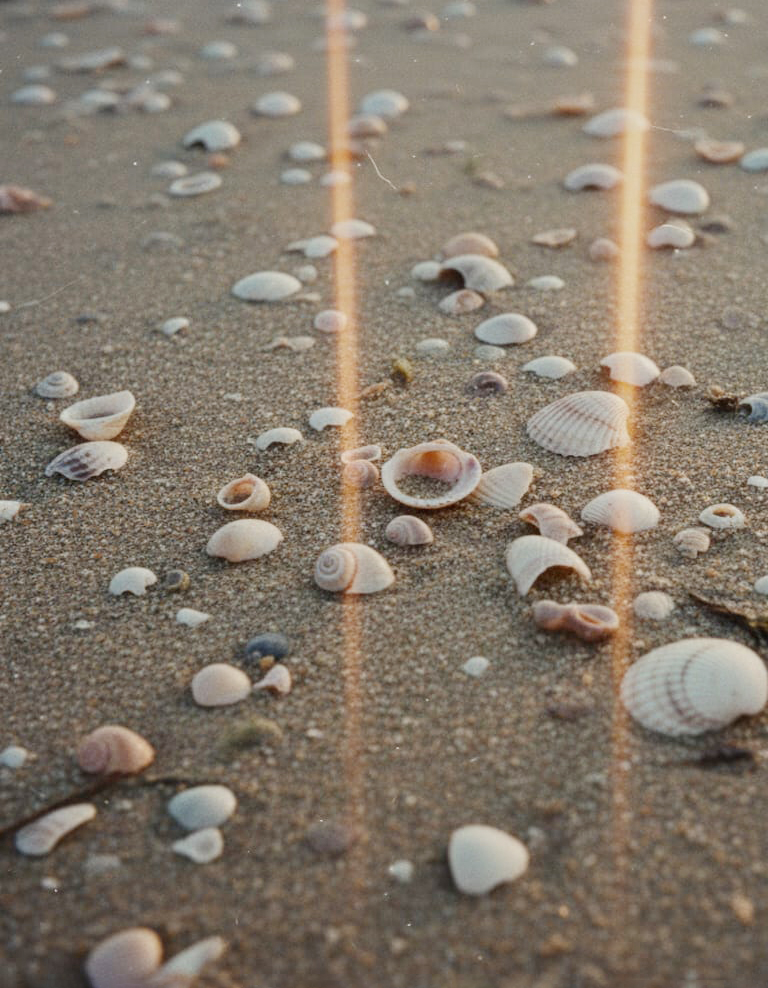 Quello che il Mare lascia